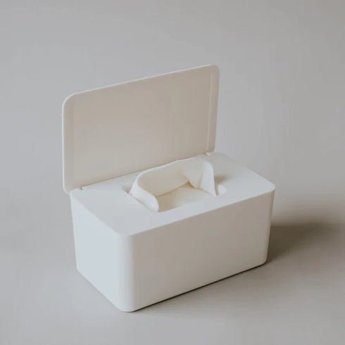 Cloth Wipes Kit | Container & Wipes